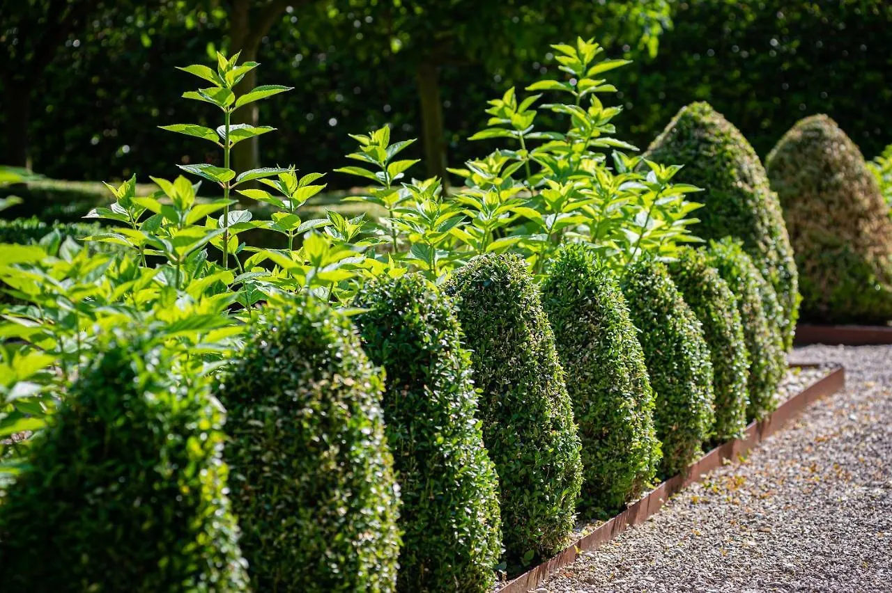 Villa Al Segnavento - Fiori&Frutti Mestre Alloggio per agriturismo