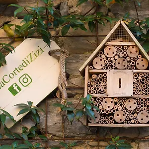 La Corte Di Zizi Vakantiehuis Cernobbio